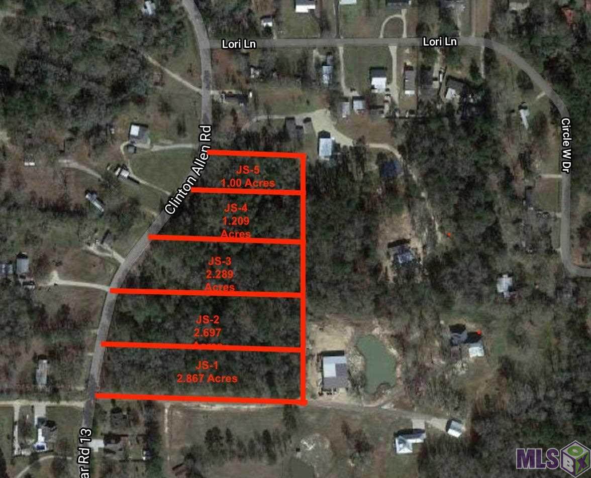 33248 Clinton Allen Rd - Photo 1