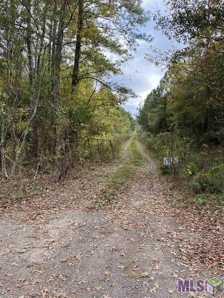 15162 Penalber Rd - Photo 1