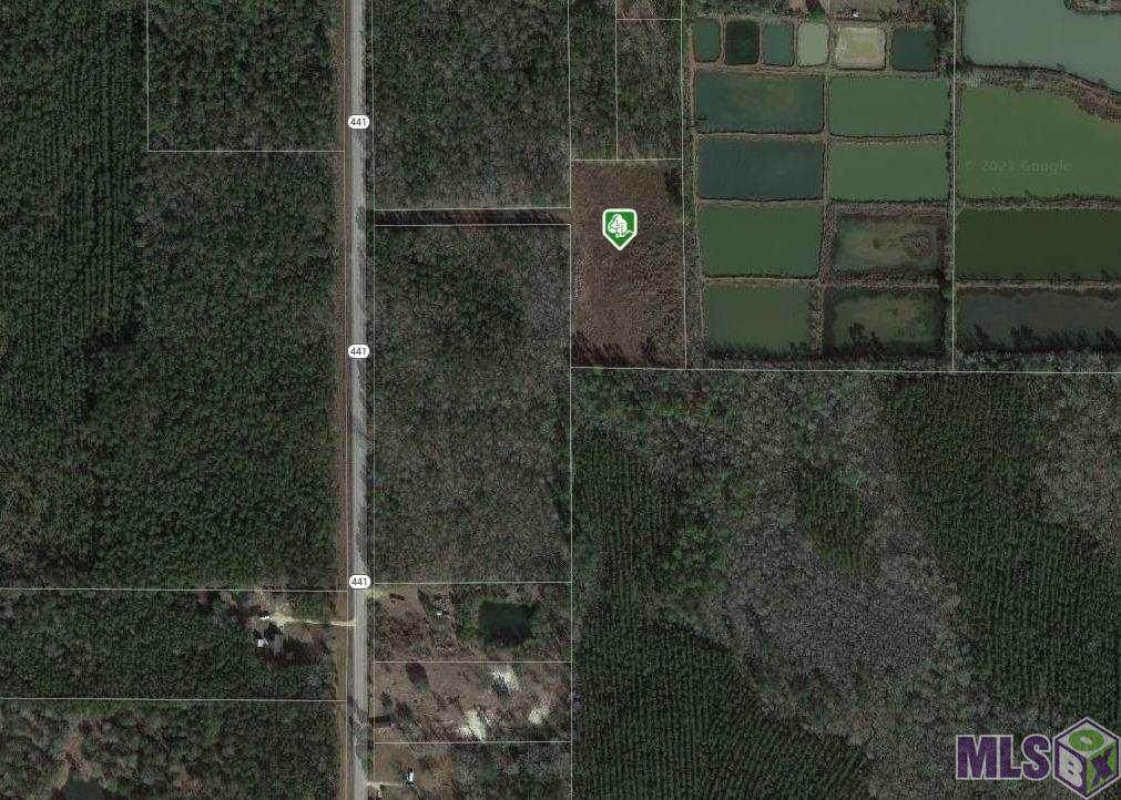 5.83 ACRES La Hwy 441 - Photo 1
