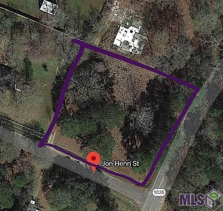 10133 Jonhenri St - Photo 1