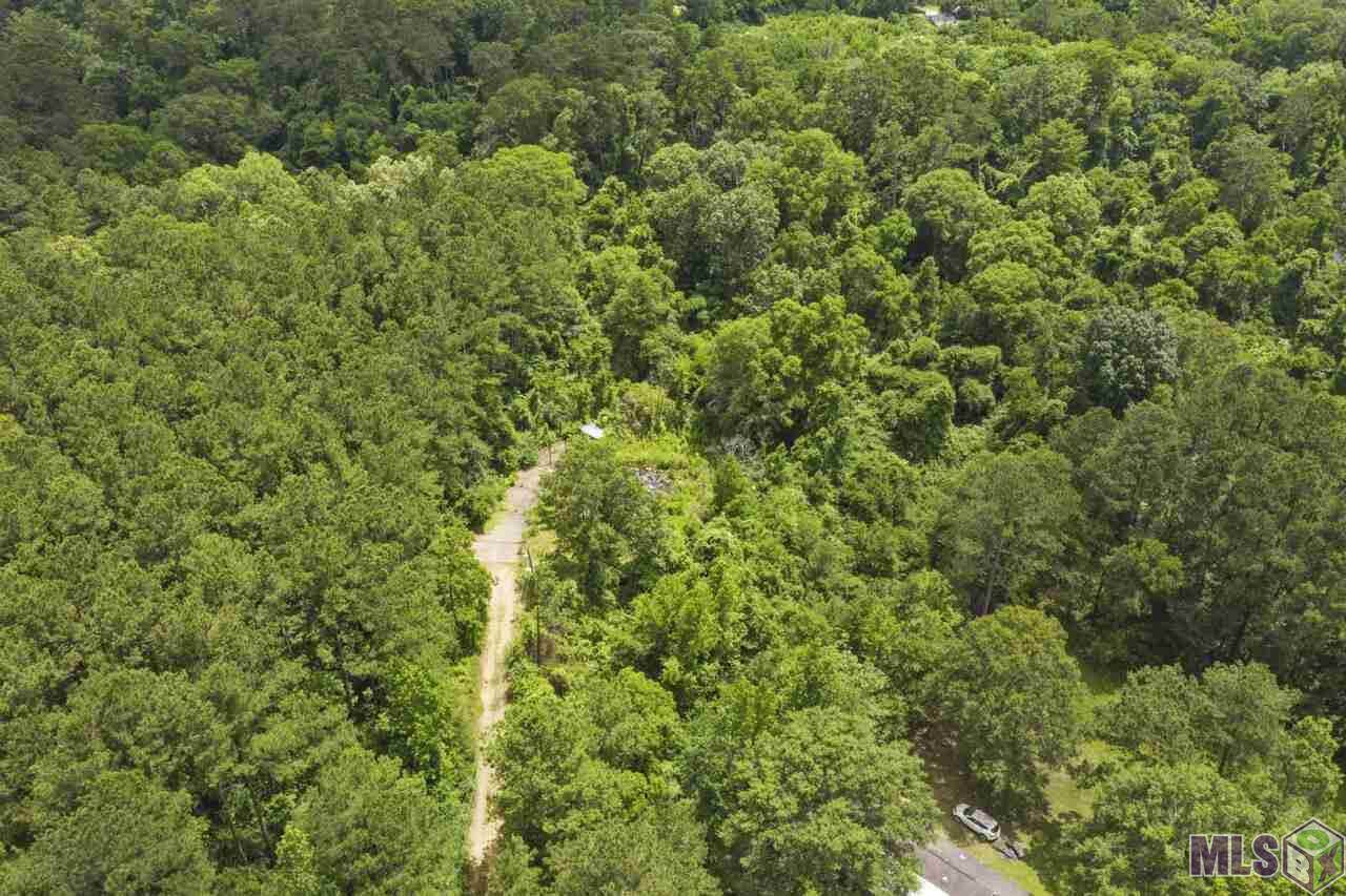 28950 Monica Ln - Photo 1