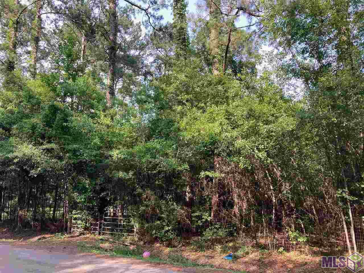 41278 Preston Rd - Photo 1