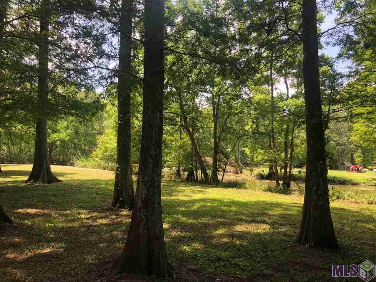 14399 Gibson Rd - Photo 1
