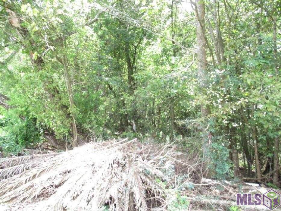 Lot 117 River Highlands - Photo 1