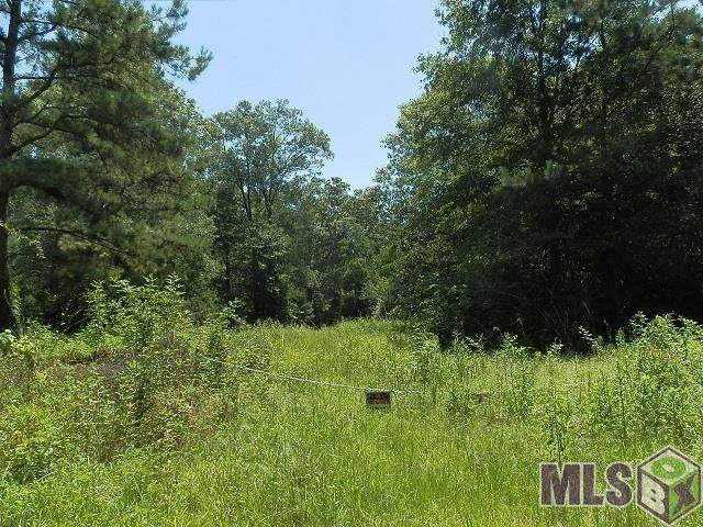 23500 Hills Rd - Photo 1
