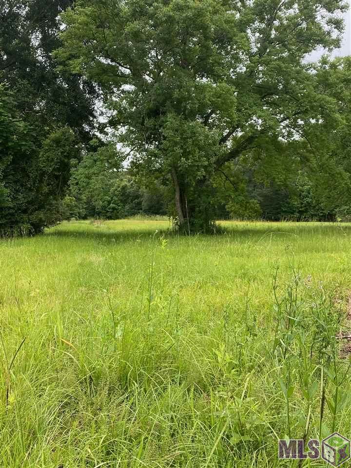 12510 Blackwater Rd - Photo 1