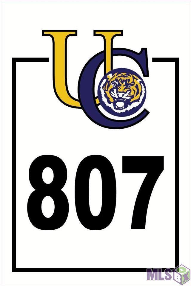 1622 Tiger Crossing Dr - Photo 1