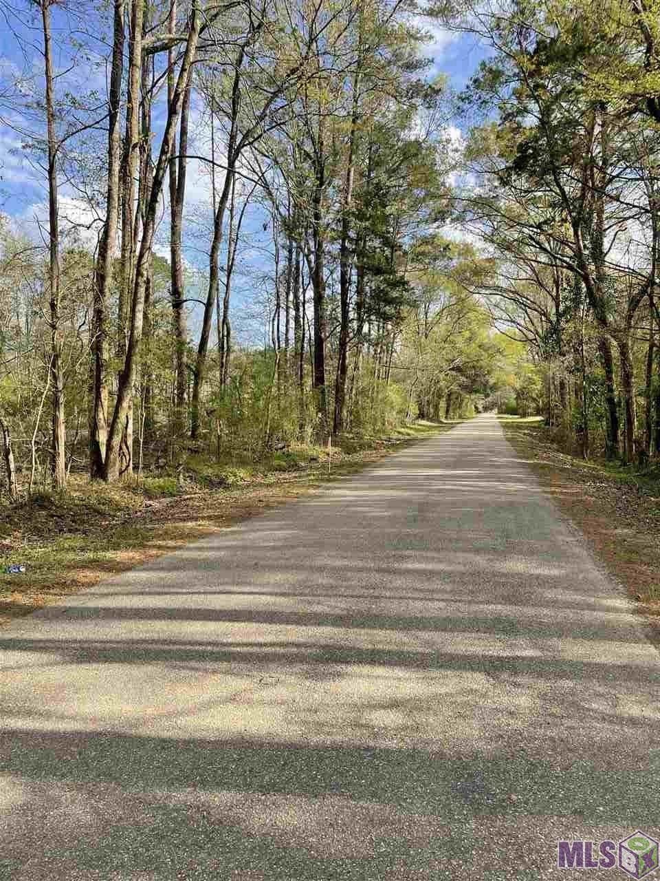 Lot 3-C-4-B Old Laurel Hill Rd - Photo 1