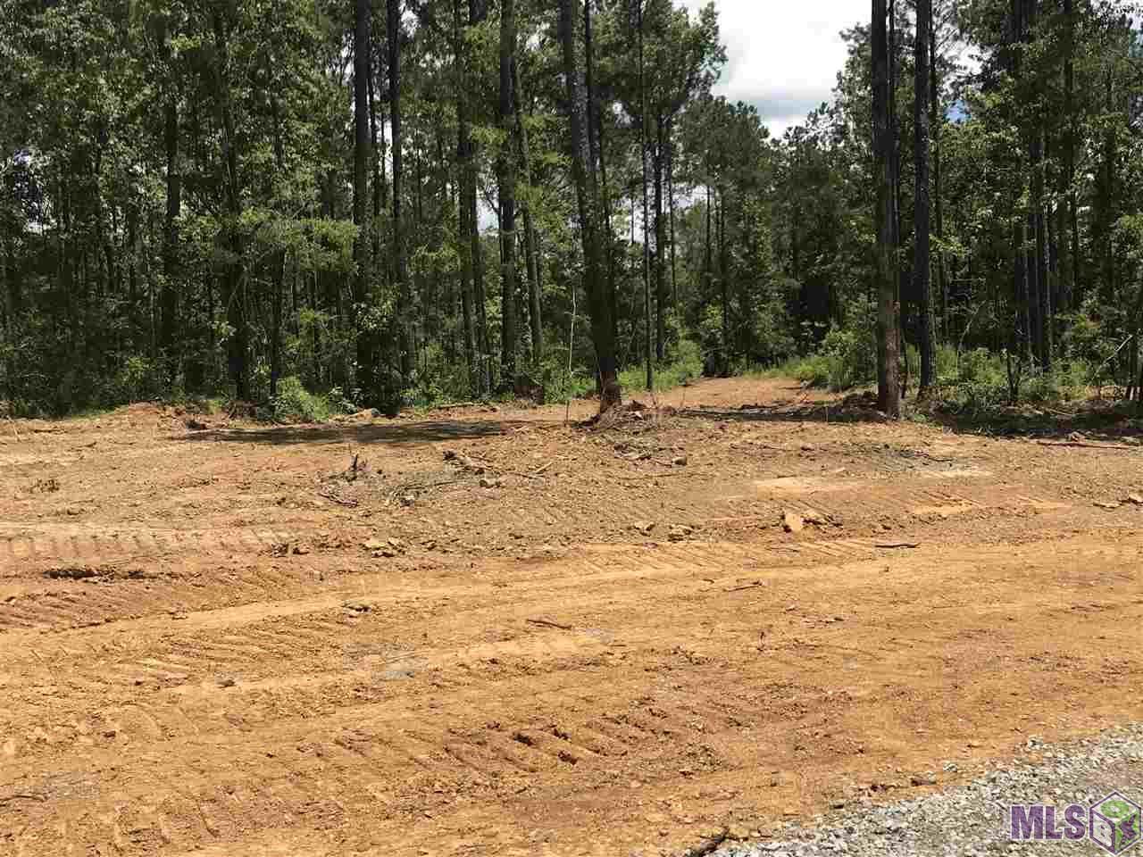 Lot-A Weems Ln. Weems Ave - Photo 1