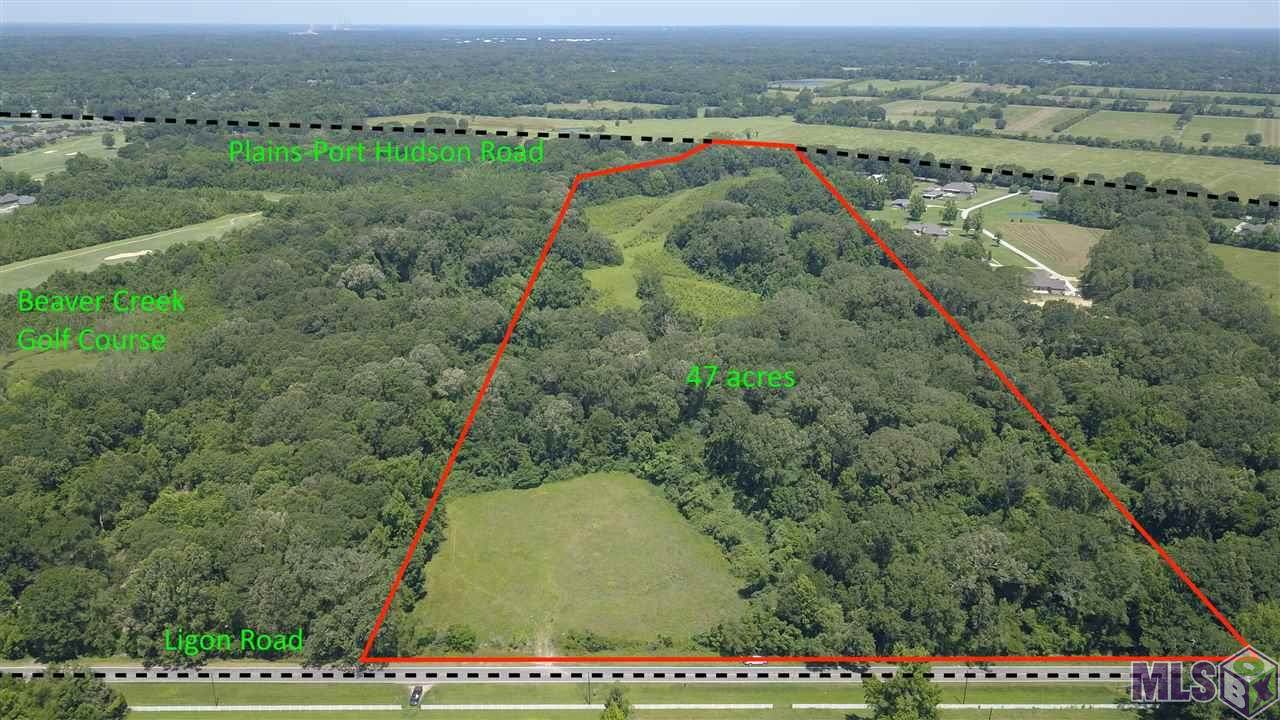 1440 Plains Port Hudson Rd - Photo 1