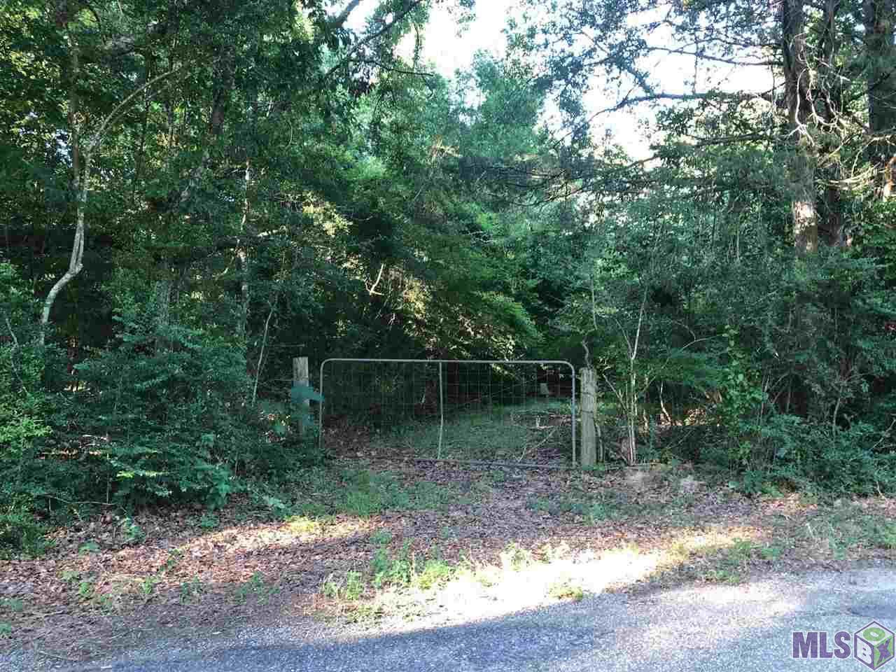 7006 Joe Daniel Rd - Photo 1