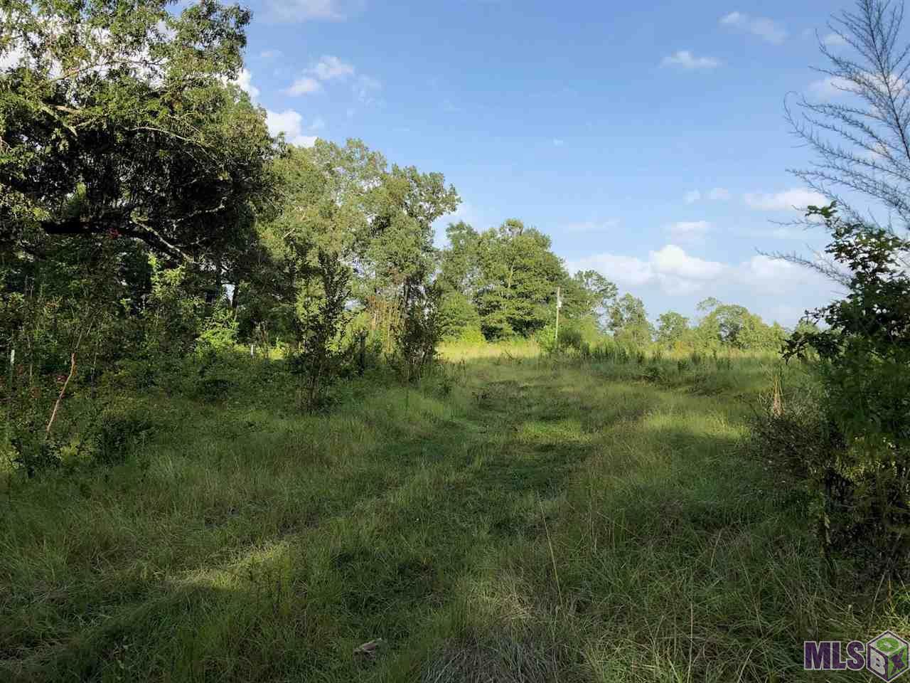 1750 Tommy Whitaker Rd - Photo 1