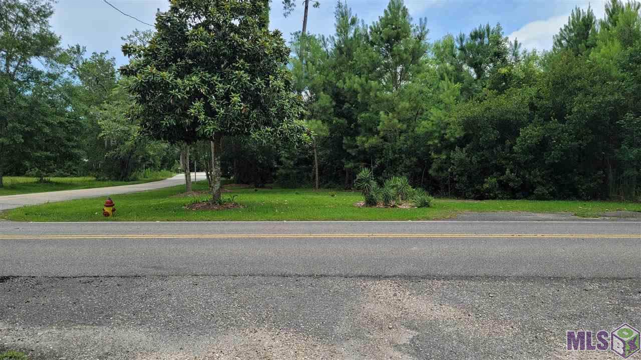 34306 Bayou Liberty Rd - Photo 1