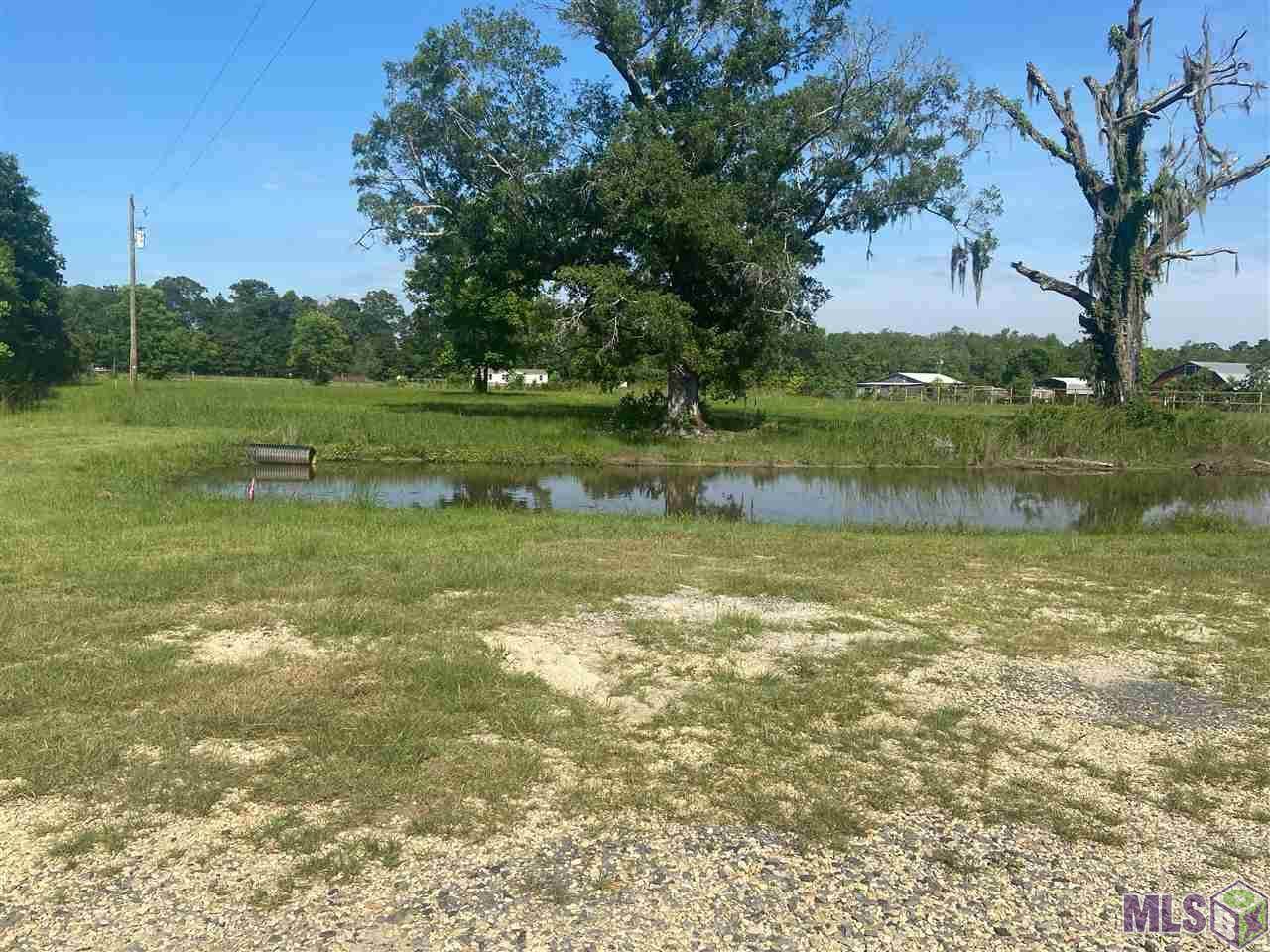 12699 Arnold Rd - Photo 1