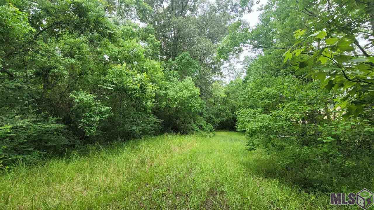 Randall Rd - Photo 1