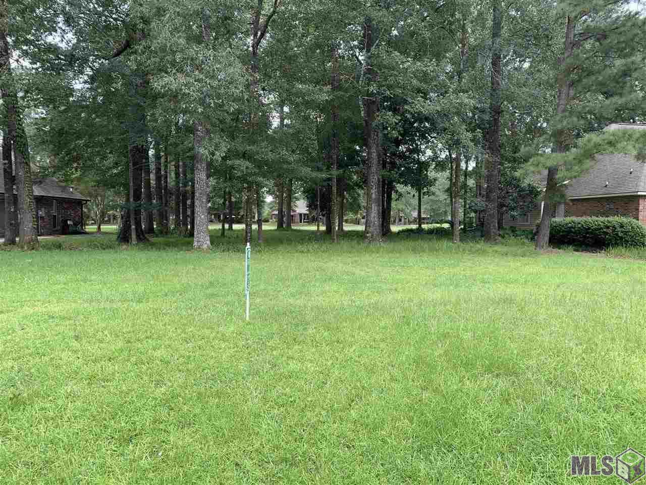 13868 Oakley Ln - Photo 1