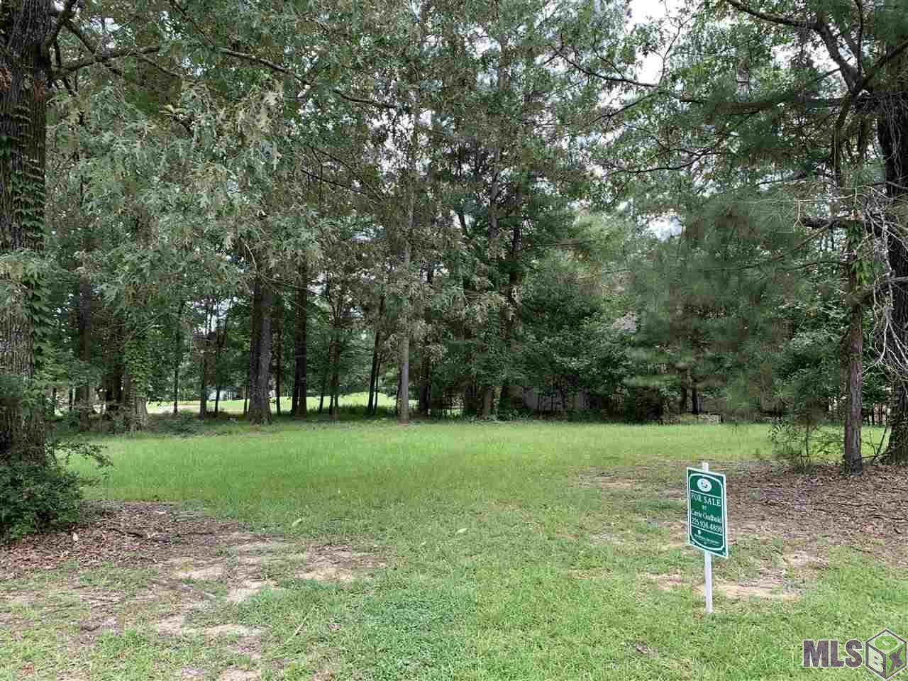 13846 Oakley Ln - Photo 1