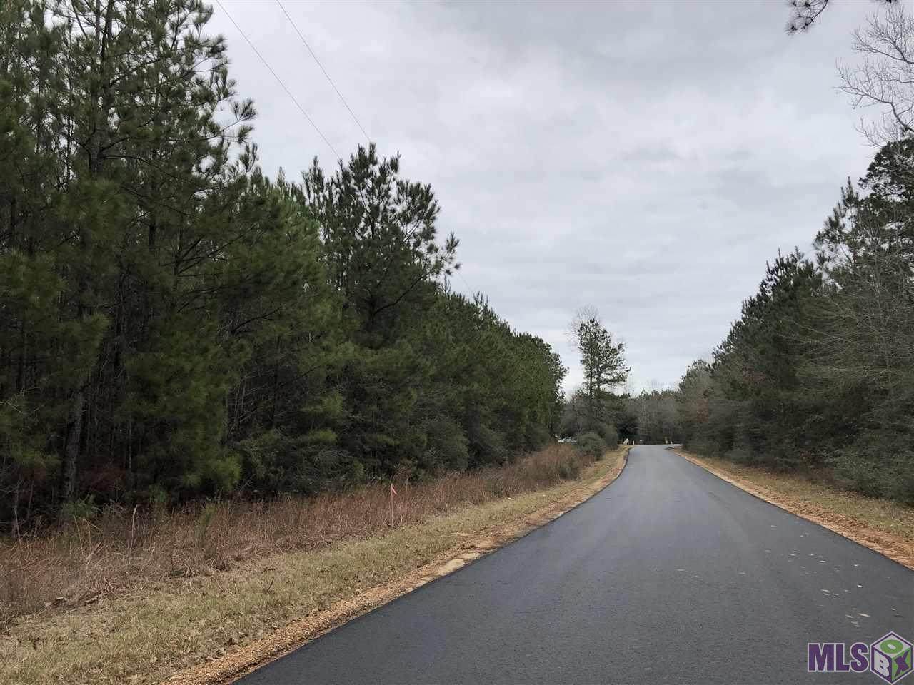 Tract 25 Pipkin Rd - Photo 1