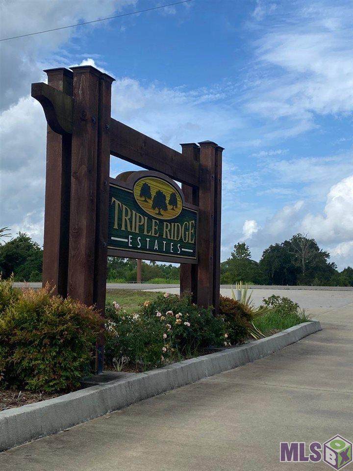 TBD Triple Ridge Blvd - Photo 1