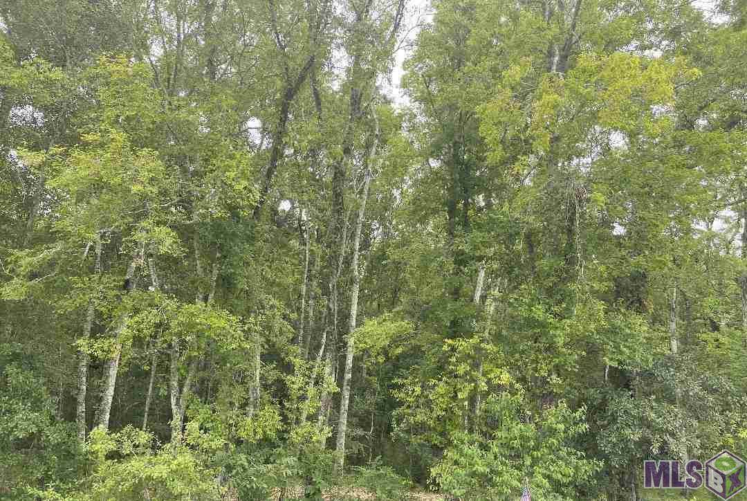 LOT 1 Choctaw Rd - Photo 1