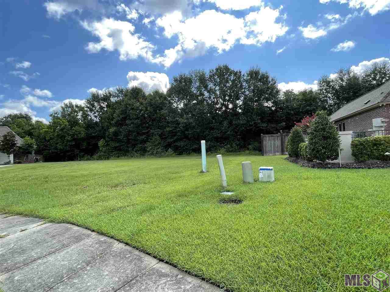 8623 Carriage Court Dr - Photo 1