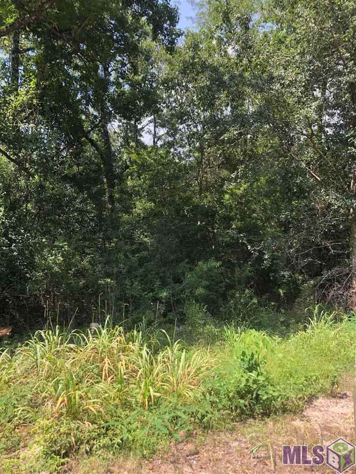 0 La Trace Rd - Photo 1