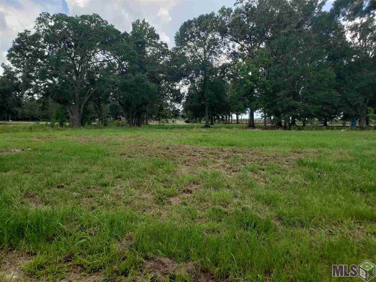 Lot 1 Tranquility Oaks - Photo 1