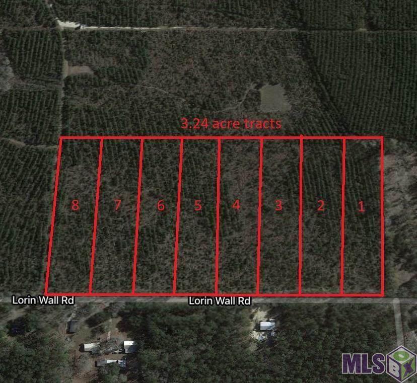 Tract 5 Lorin Wall Rd - Photo 1