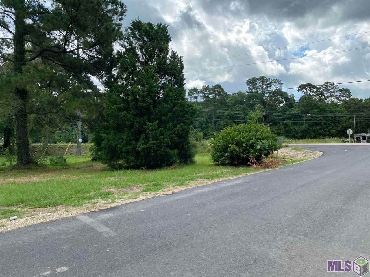 Tract 1 Dutch Ln - Photo 1