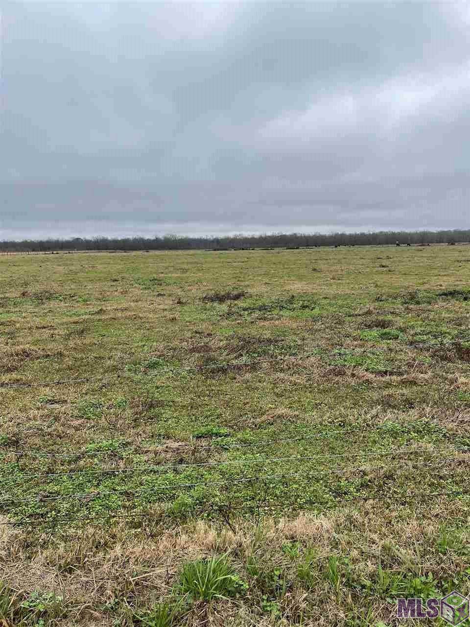 Tract B-1 Manda Rd - Photo 1