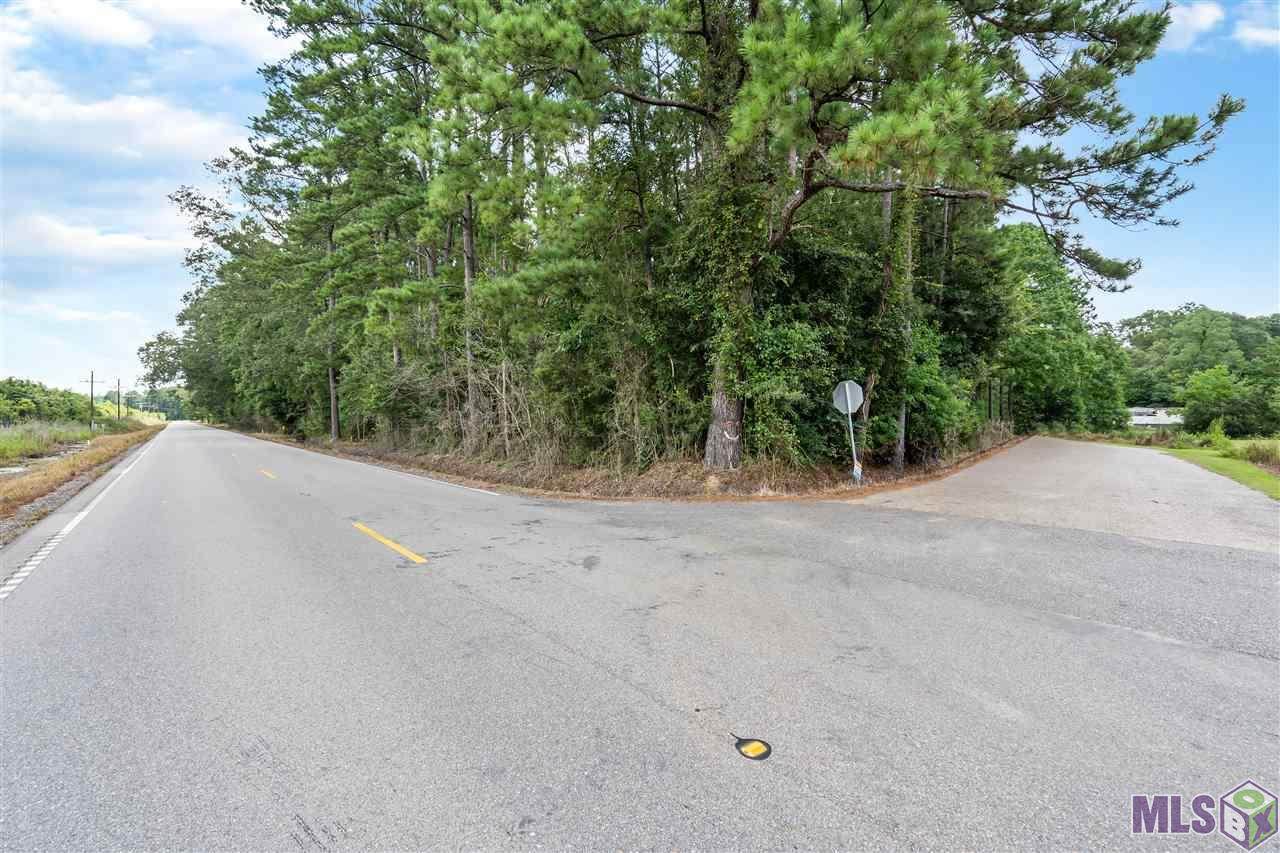 79 Tickfaw Dr - Photo 1