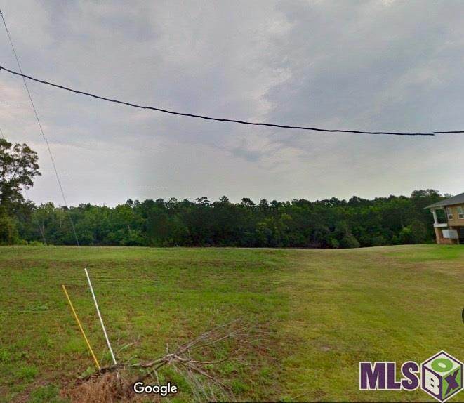 18487 Amite Acres Dr - Photo 1