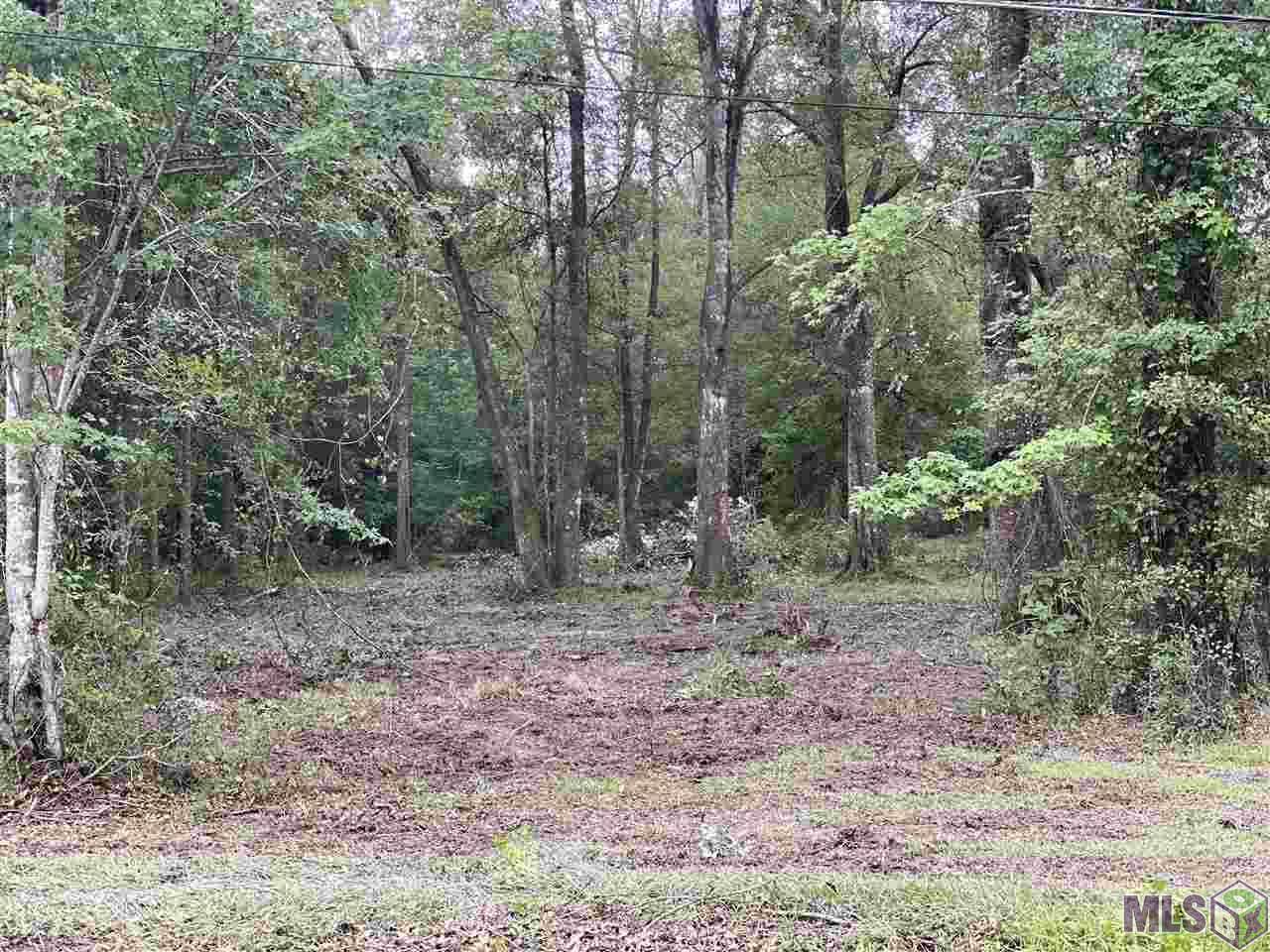 Tract 2-E Shadow Lake Dr - Photo 1