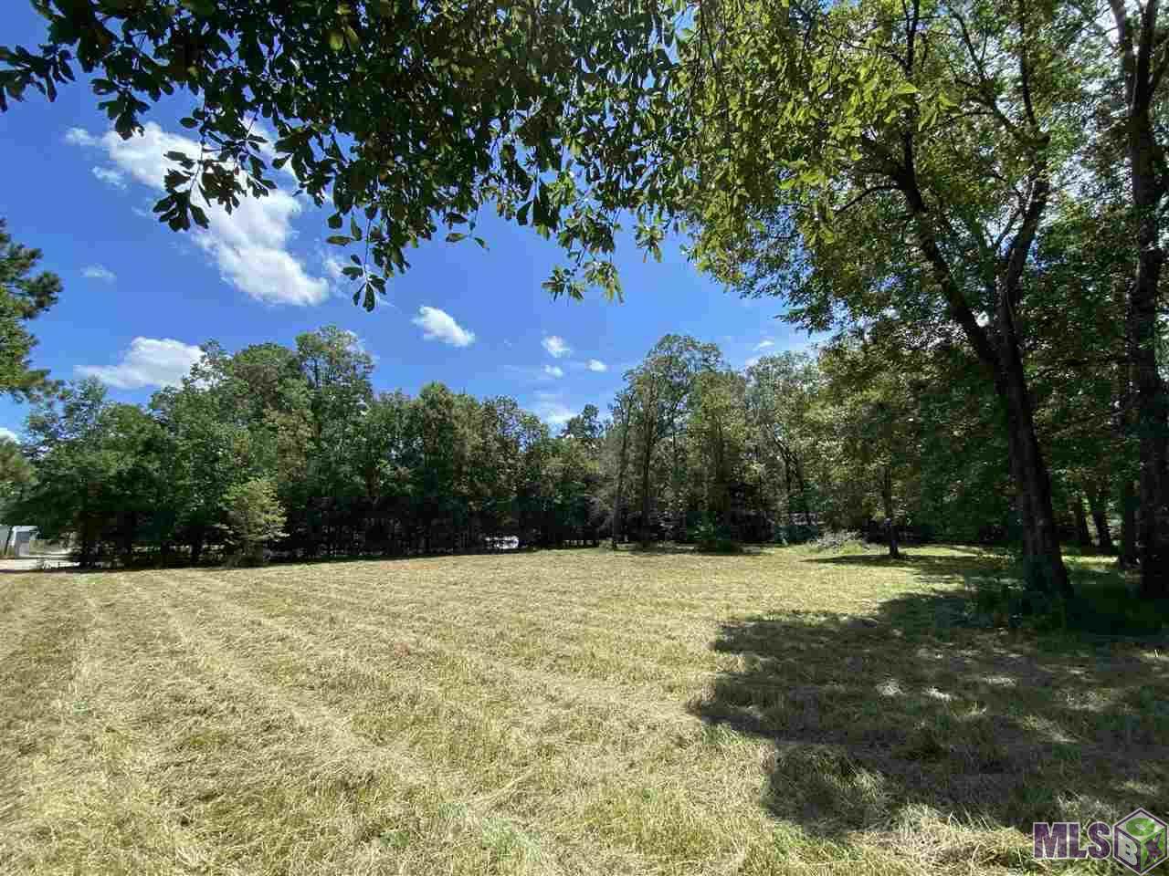 21569 Walker South Rd - Photo 1