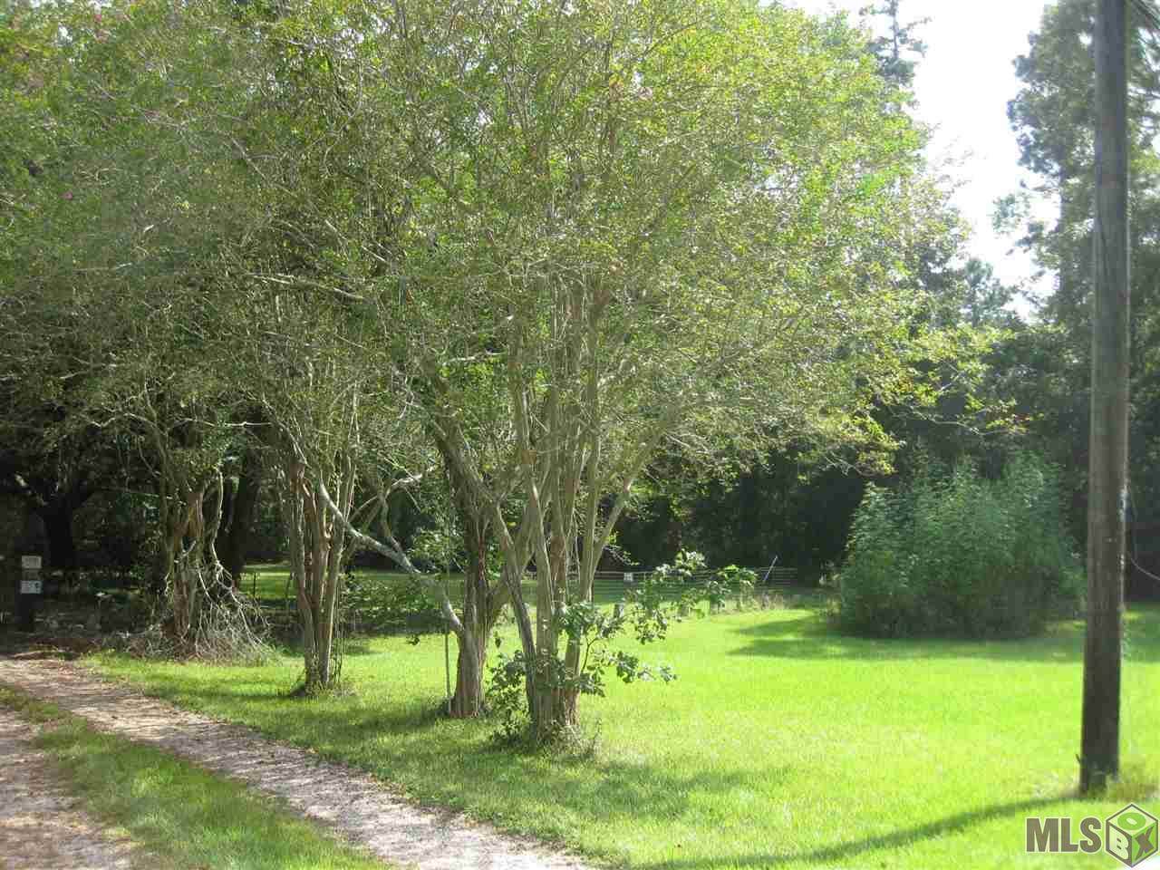 41423 La Hwy 42 - Photo 1