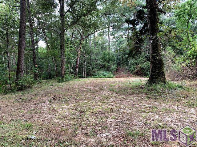 18.6 Acres School Section Rd - Photo 1