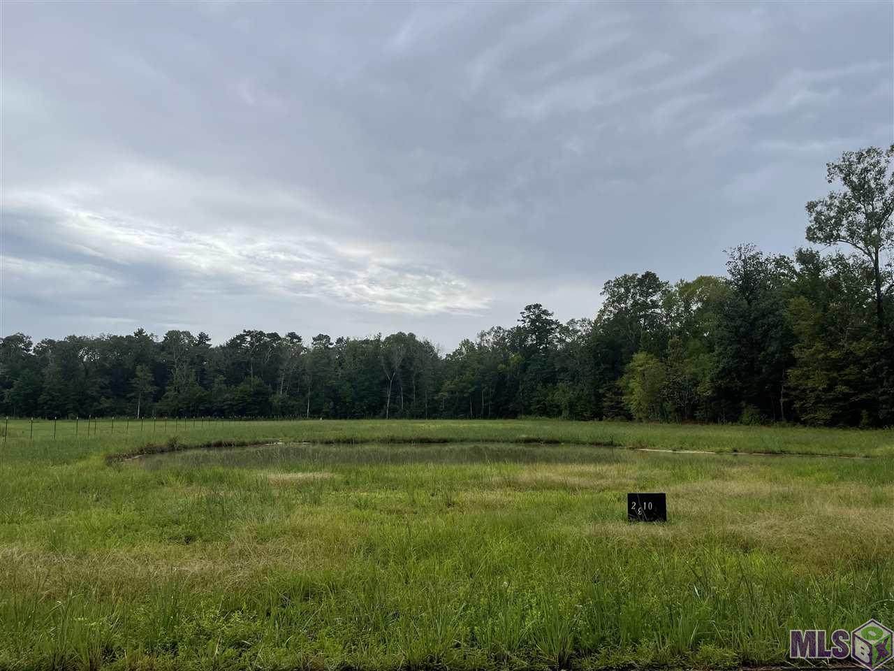 23101 Lee Price Rd - Photo 1