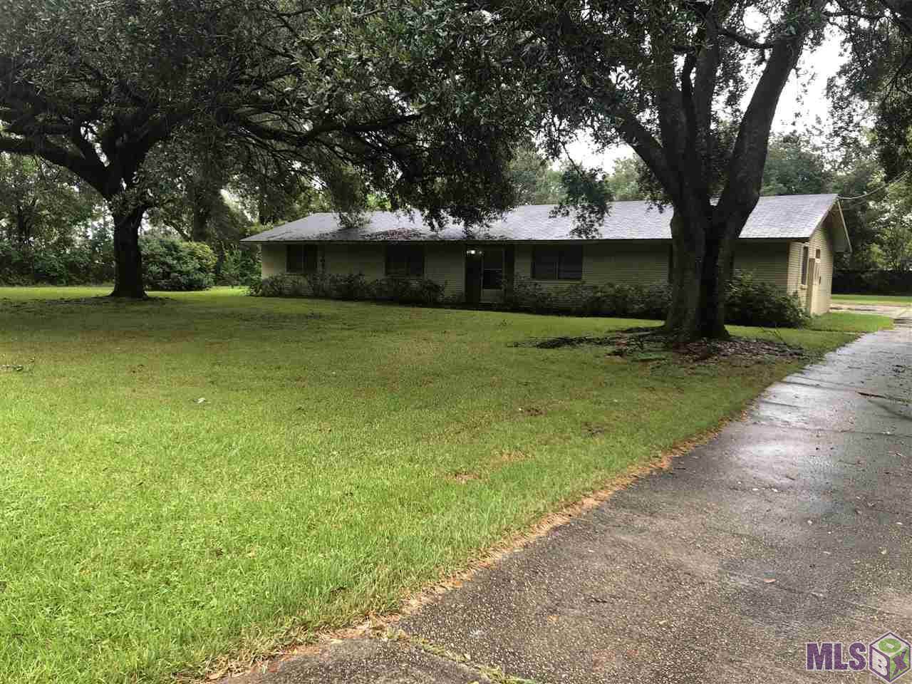 4725 Bluebonnet Rd - Photo 1