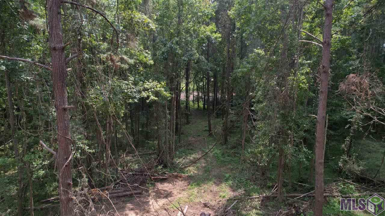 3C4D3 Old Laurel Hill Rd - Photo 1