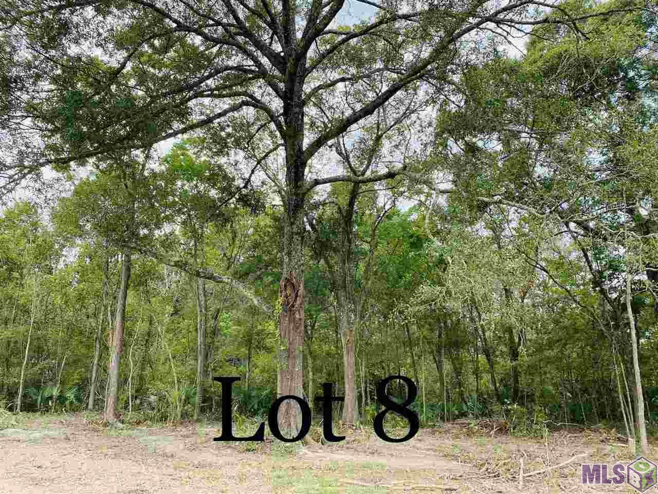 11123 Comeaux Ln - Photo 1