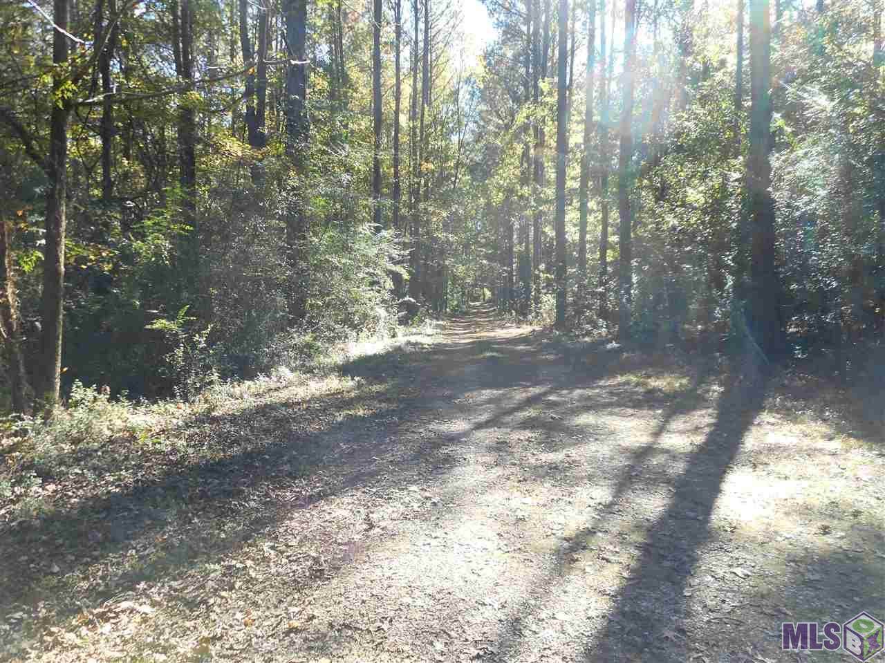 7430 Lane Rd - Photo 1