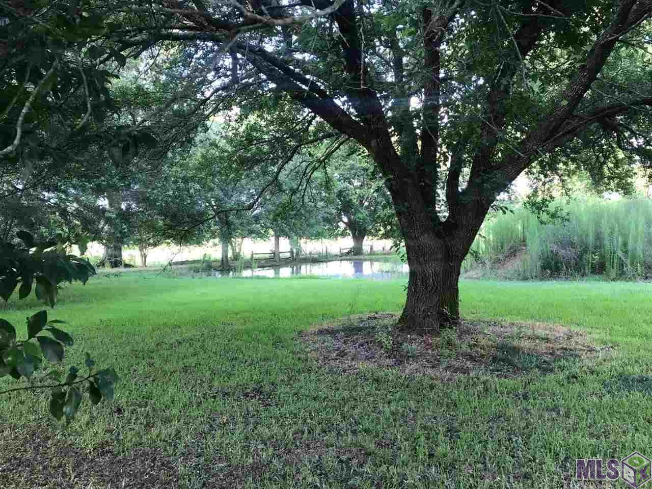 10045 Foster Rd - Photo 1