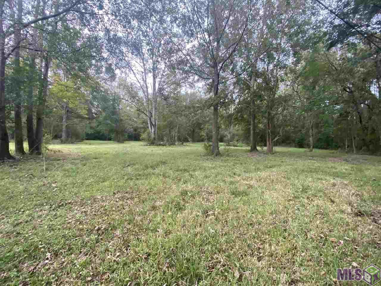 10990 Blackwater Rd - Photo 1