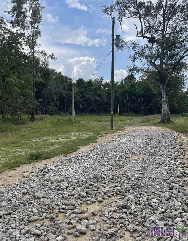 23701 Old Frost Rd - Photo 1