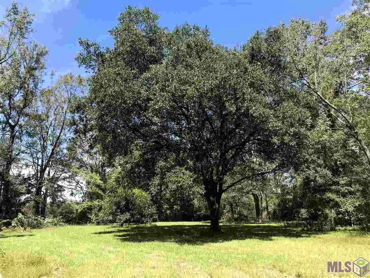 40192 Coontrap Rd - Photo 1