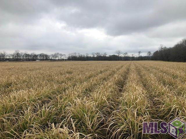 9837 D Burnside Rd - Photo 1