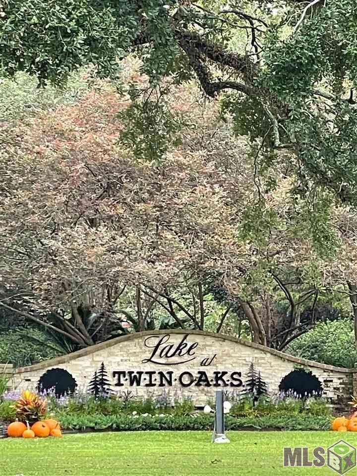 TBD Twin Oaks Dr - Photo 1
