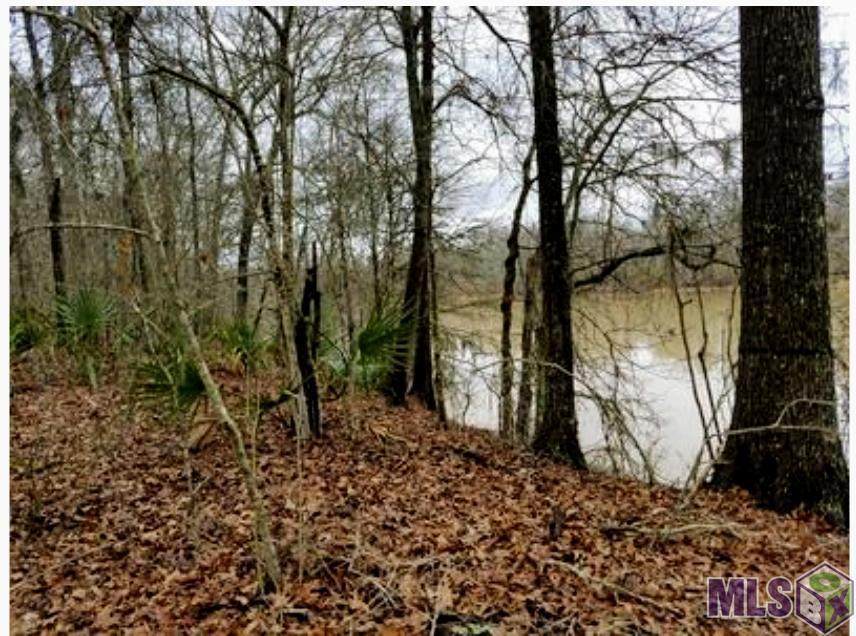 Lot 1 Whitakers Landing - Photo 1