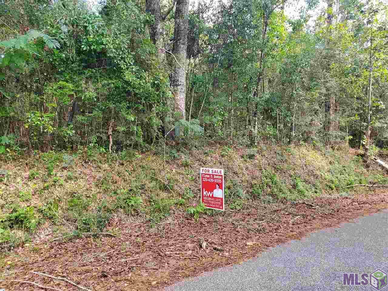80262 Sticker Rd - Photo 1