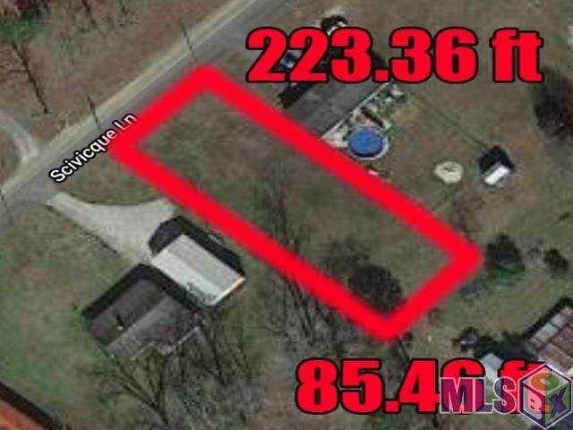 lot 4 Scivicque Ln - Photo 1